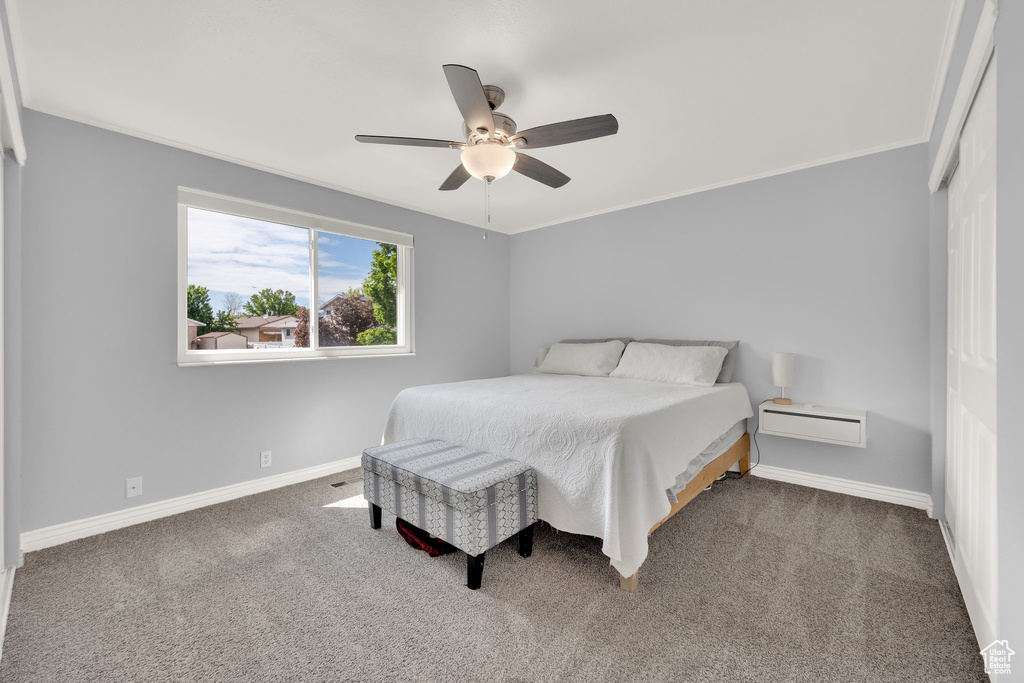 Carpeted bedroom featuring baseboards, a ceiling fan, a closet, and ornamental molding