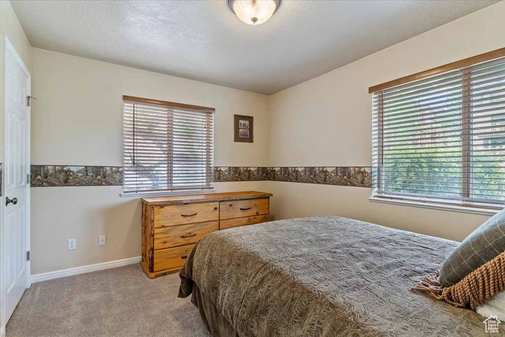 Bedroom with multiple windows, light colored carpet, and baseboards