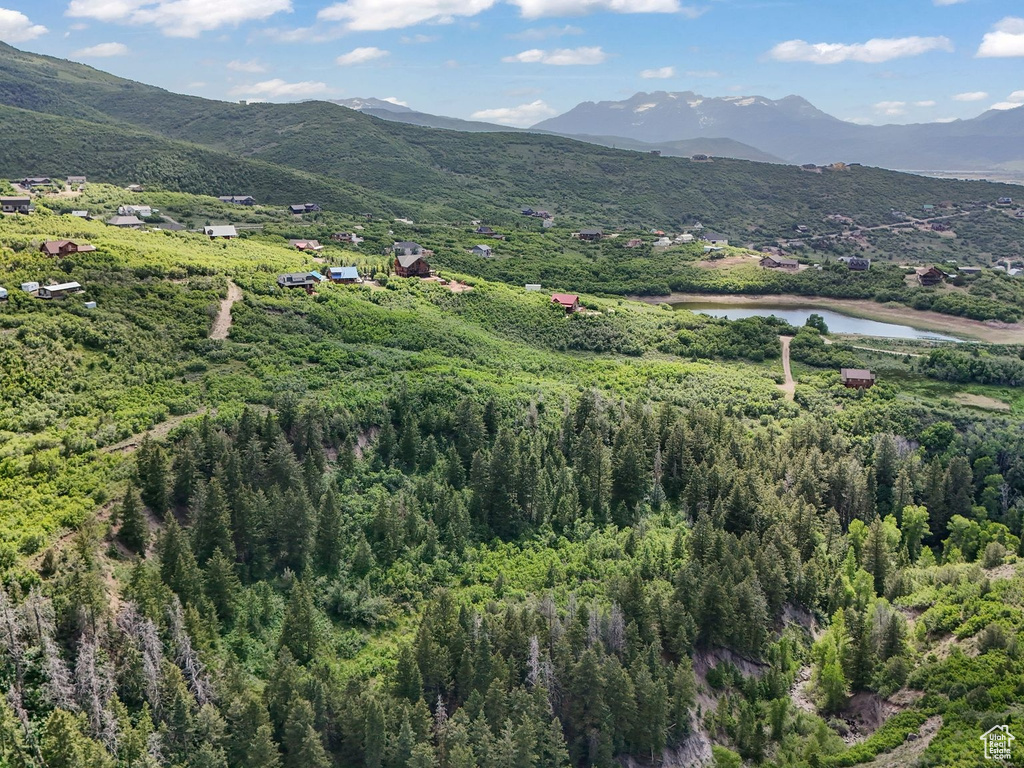 Mountain view with a forest and a nearby body of water