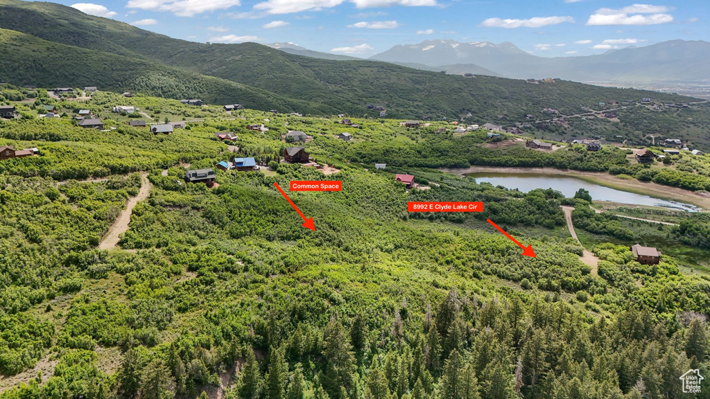 Aerial view of a water and mountain view and a forest
