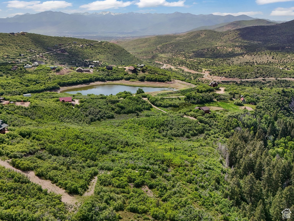 Bird\\\'s eye view of a water and mountain view and a forest