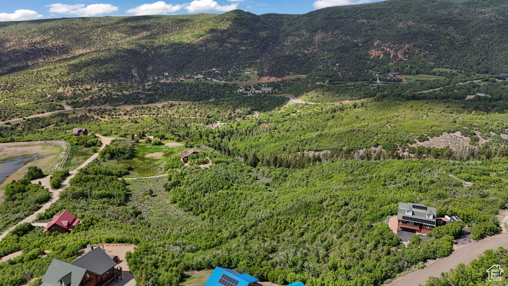 Mountain view featuring a forest