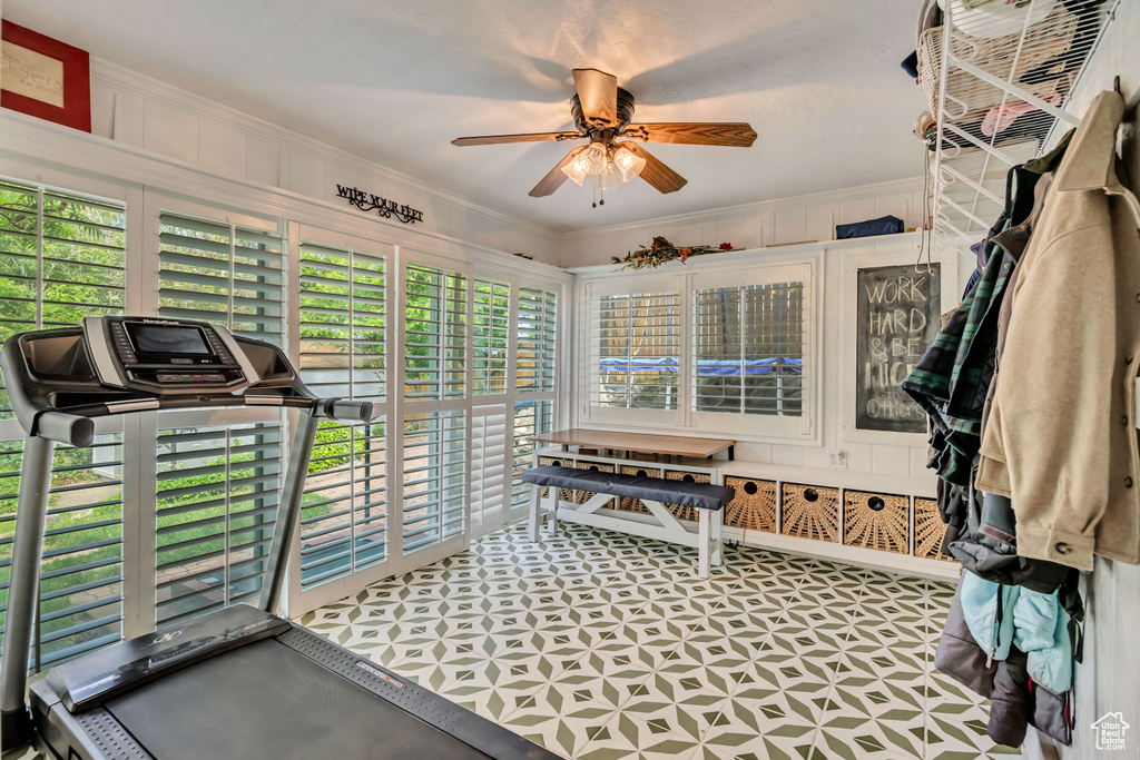 Exercise area with a ceiling fan, crown molding, and healthy amount of natural light