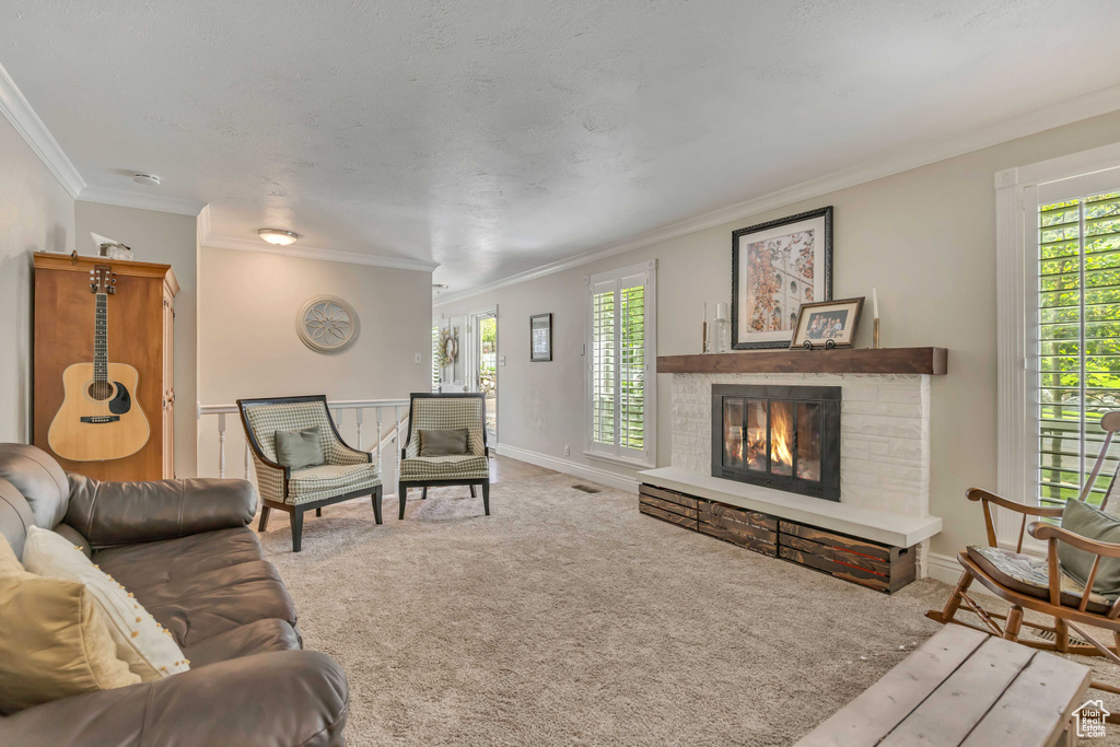 Living room featuring a fireplace, ornamental molding, carpet flooring, and baseboards