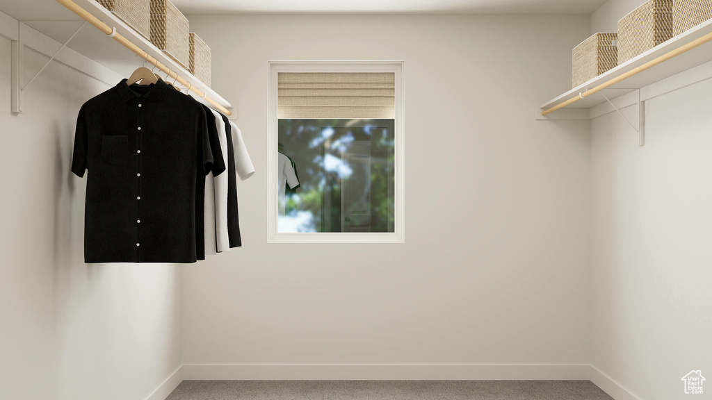 View of walk in closet