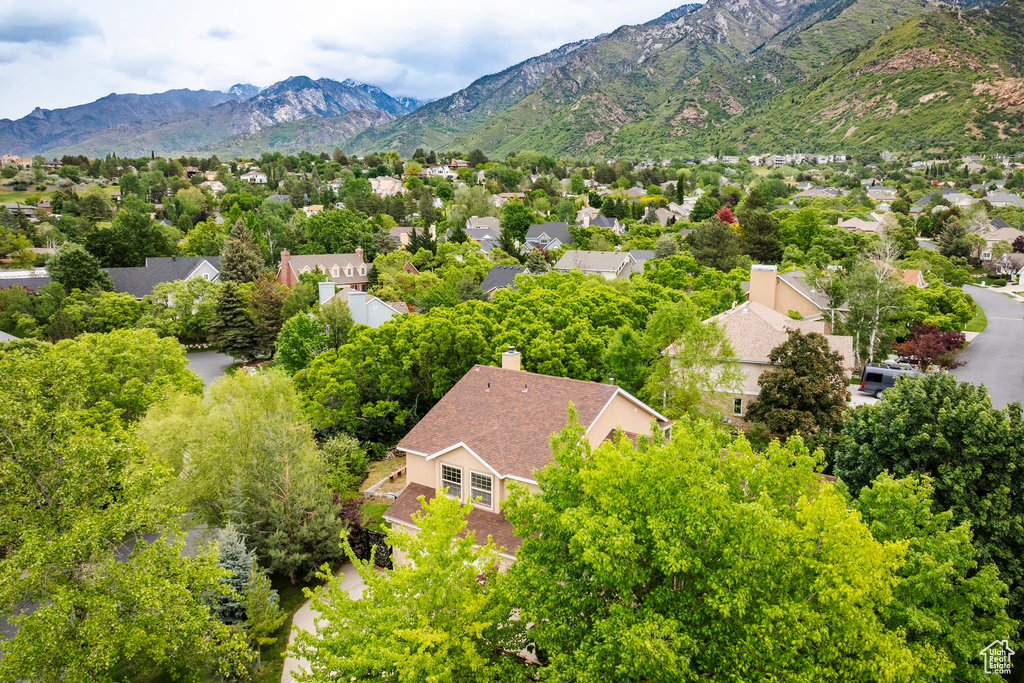 Bird's eye view of a mountainous background