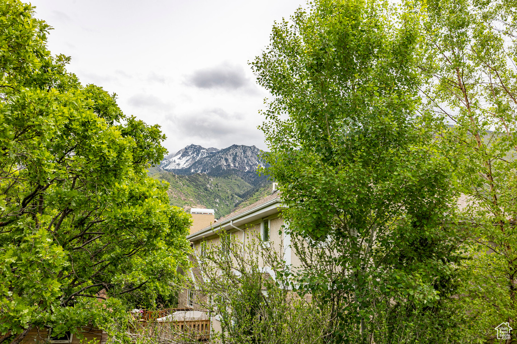 Mountain view