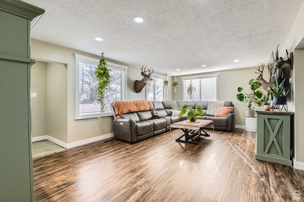 Living area featuring wood finished floors, a textured ceiling, baseboards, and recessed lighting