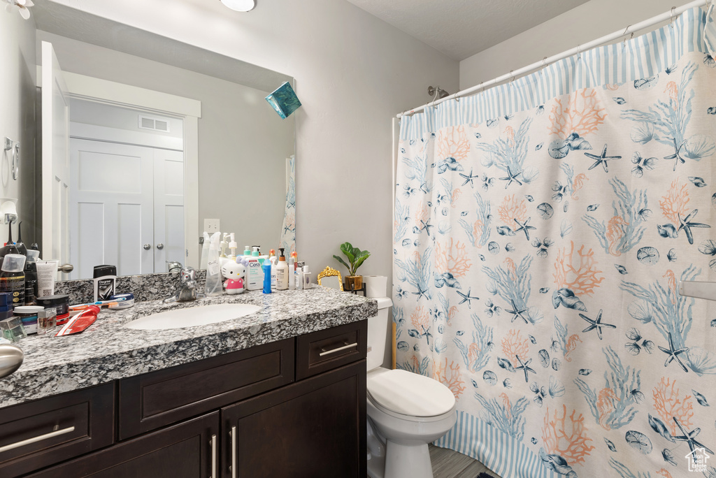 Bathroom featuring toilet, vanity, and curtained shower