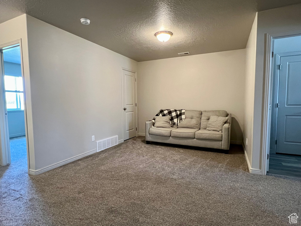 Living area featuring carpet, a textured ceiling, and baseboards