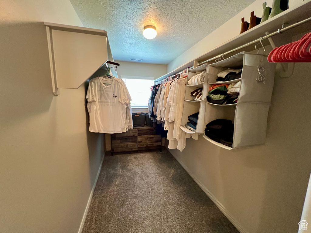 Spacious closet with carpet