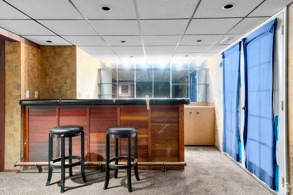 Indoor dry bar with carpet and a paneled ceiling