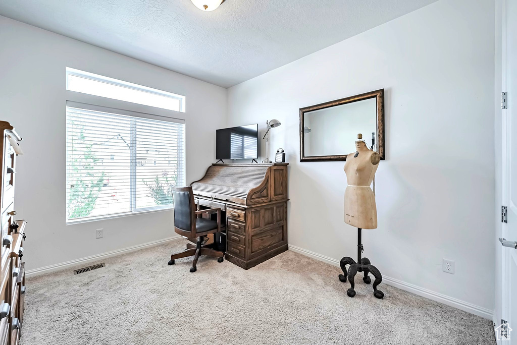 Carpeted office space featuring baseboards and a textured ceiling