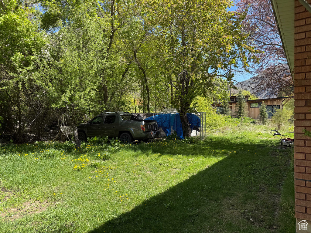 View of grassy yard