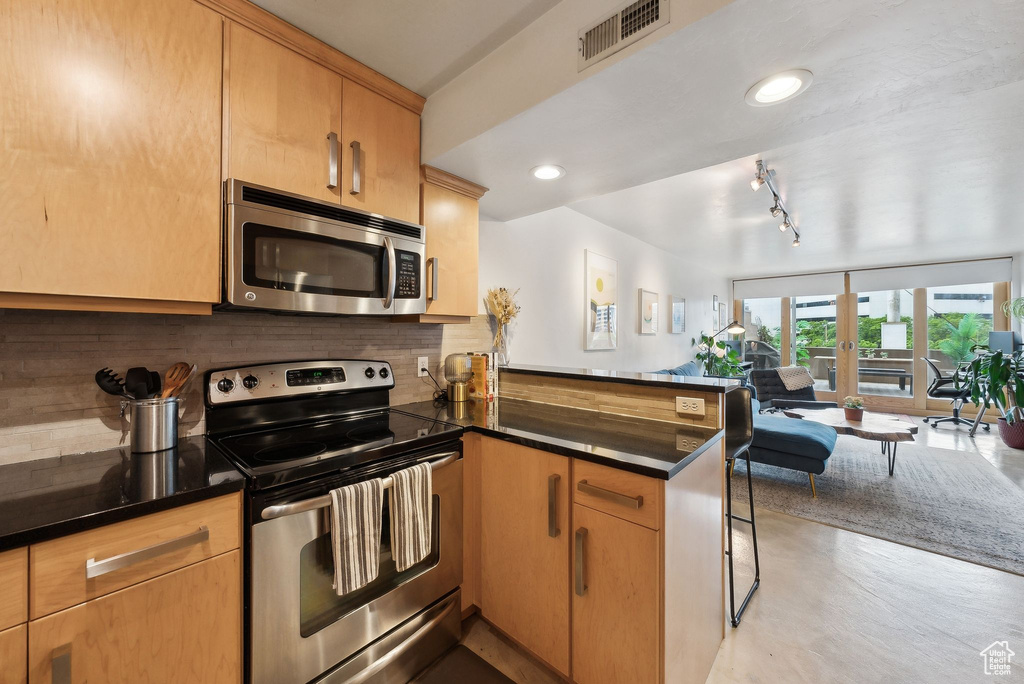 Kitchen with stainless steel appliances, a peninsula, open floor plan, decorative backsplash, and recessed lighting