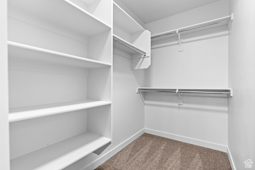 Spacious closet with dark carpet