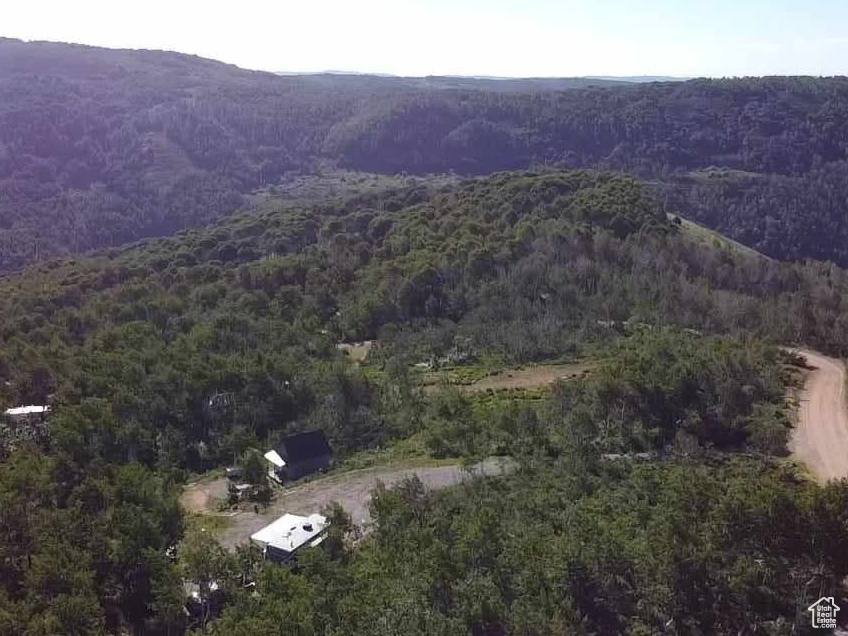 View of mountain background with a forest