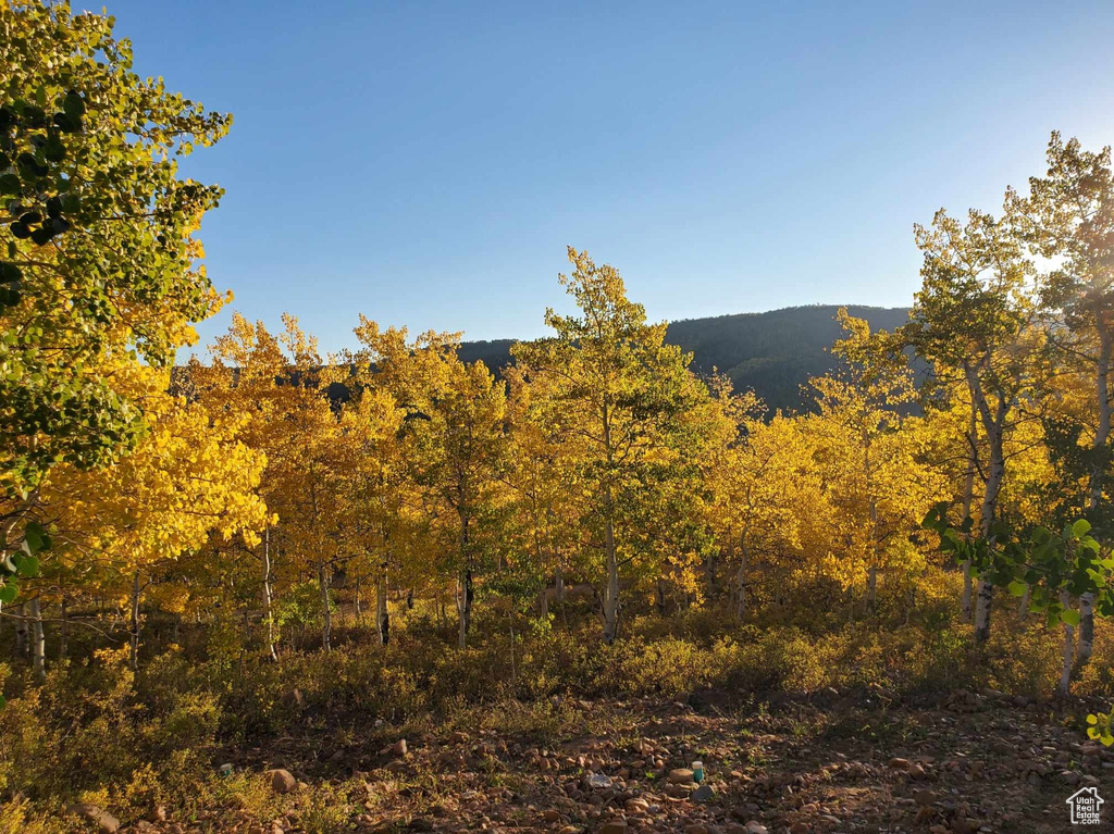 View of mountain background featuring a forest