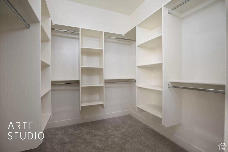 Spacious closet with carpet floors
