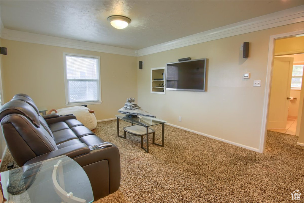 Carpeted living room with ornamental molding and baseboards
