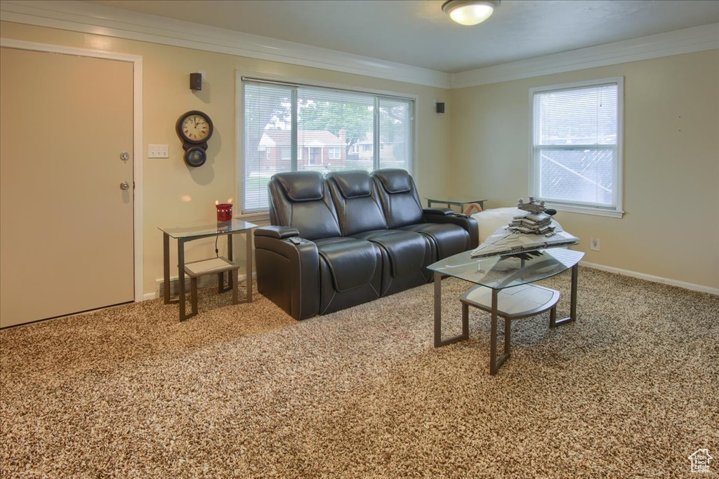 Carpeted living area with healthy amount of natural light, crown molding, and baseboards