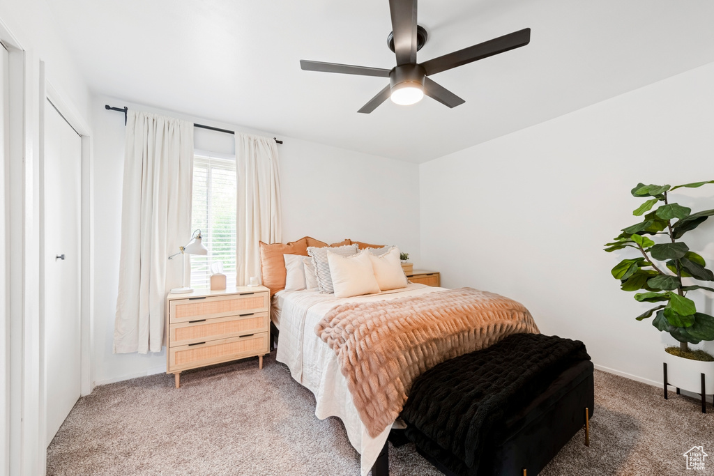 Bedroom featuring carpet and ceiling fan