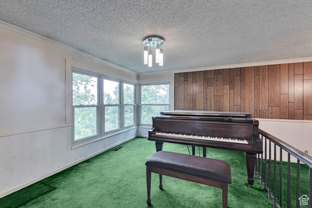 Living area featuring ornamental molding, a textured ceiling, and carpet floors