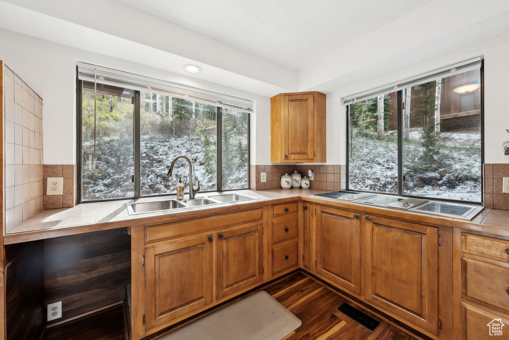 Kitchen featuring a sink, backsplash, dark wood-style flooring, and tile countertops