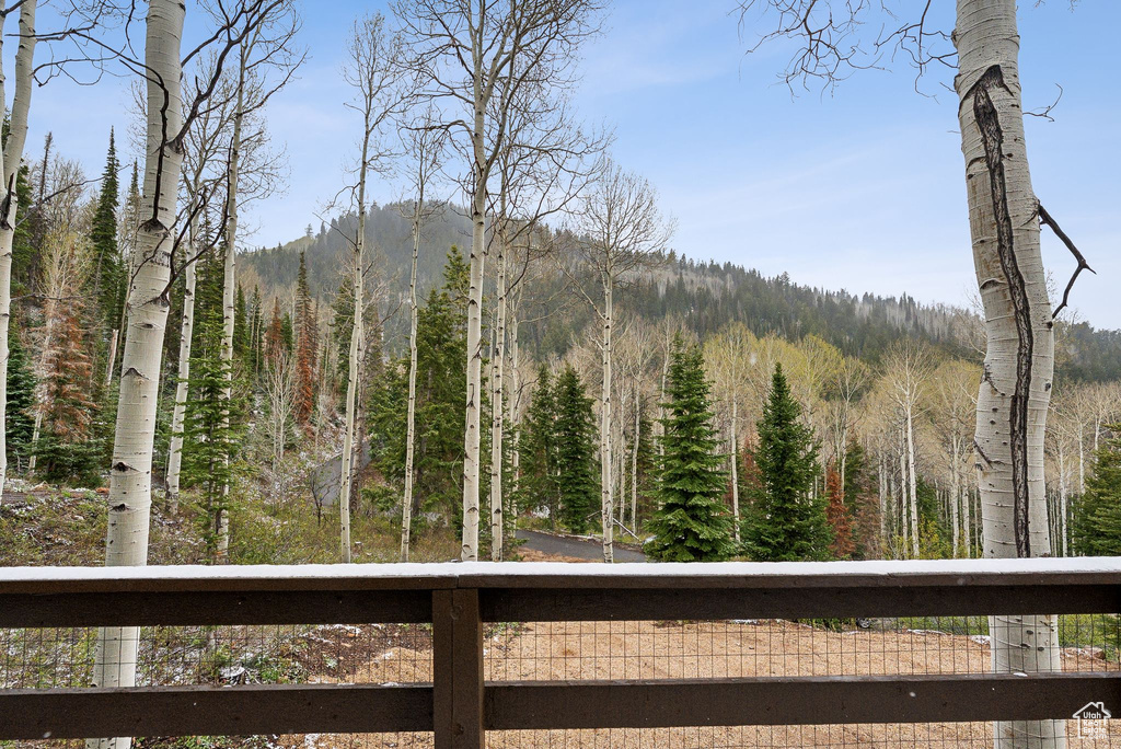 Mountain view with a heavily wooded area