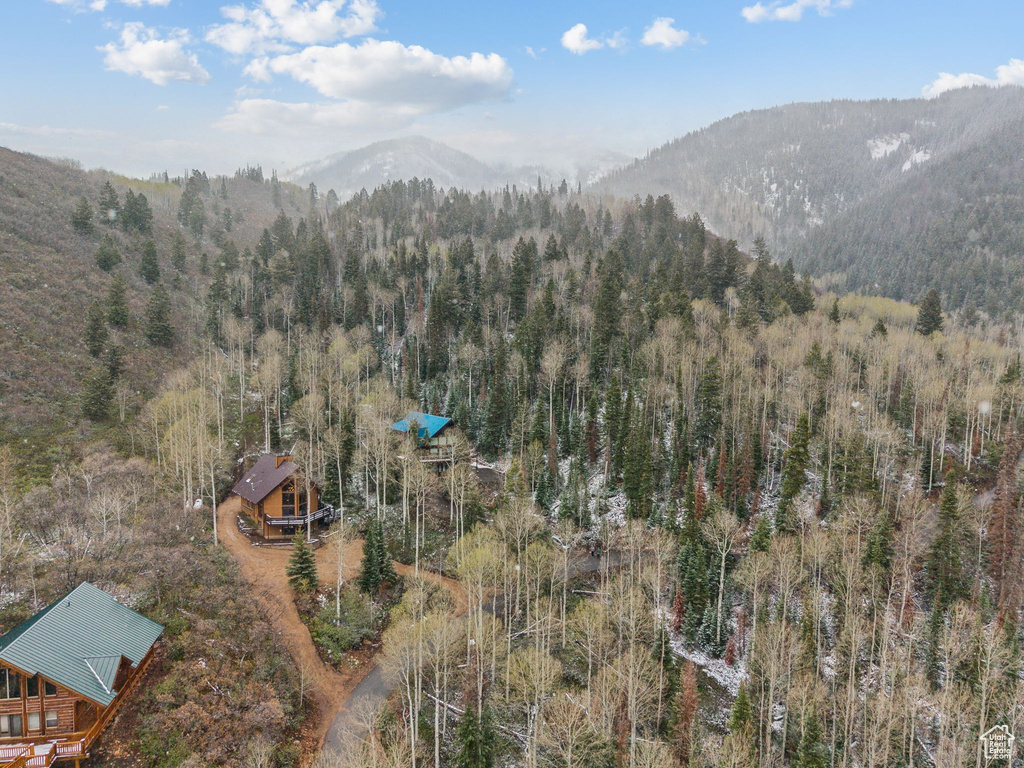 View of mountain background featuring a forest