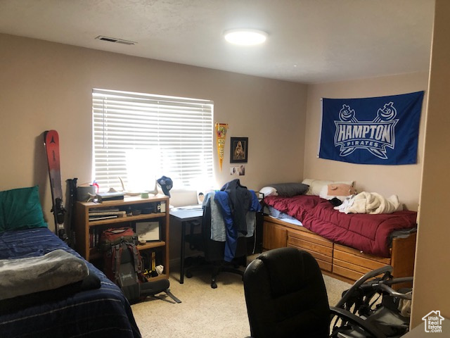 Bedroom with carpet floors