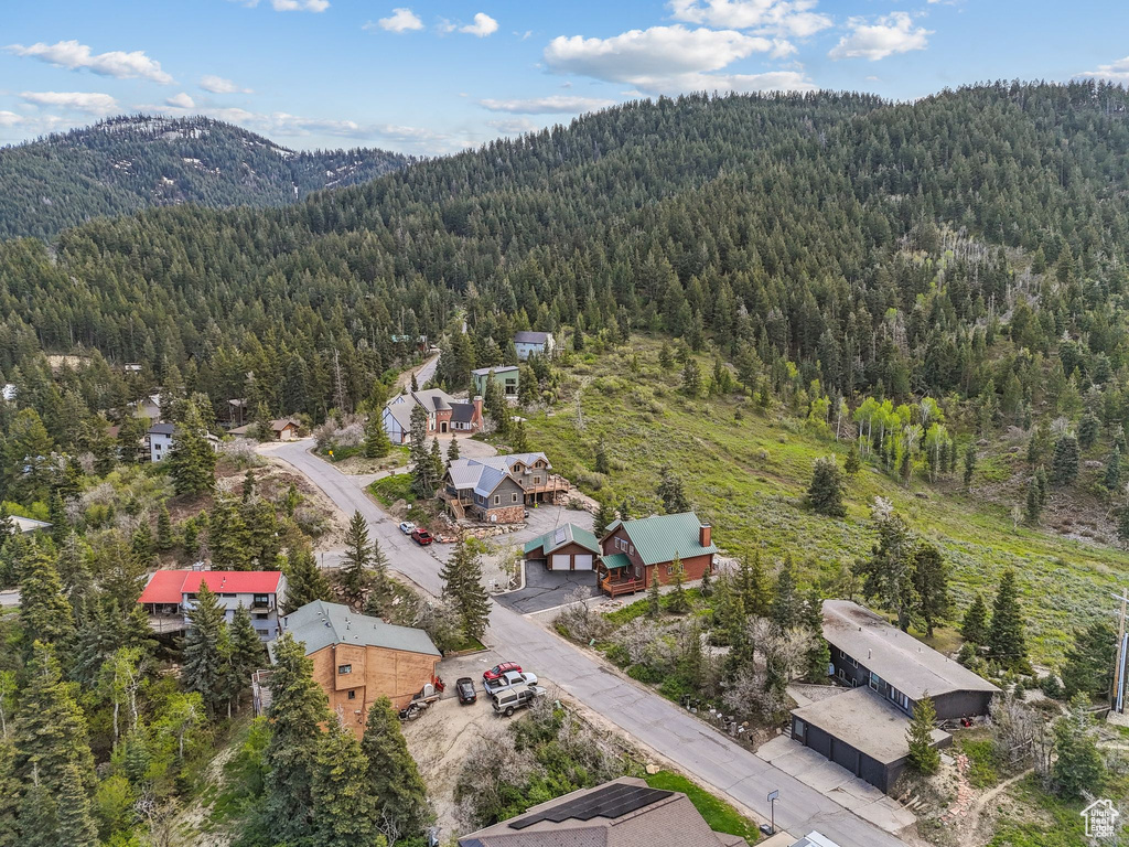 Aerial view of a heavily wooded area and a mountainous background
