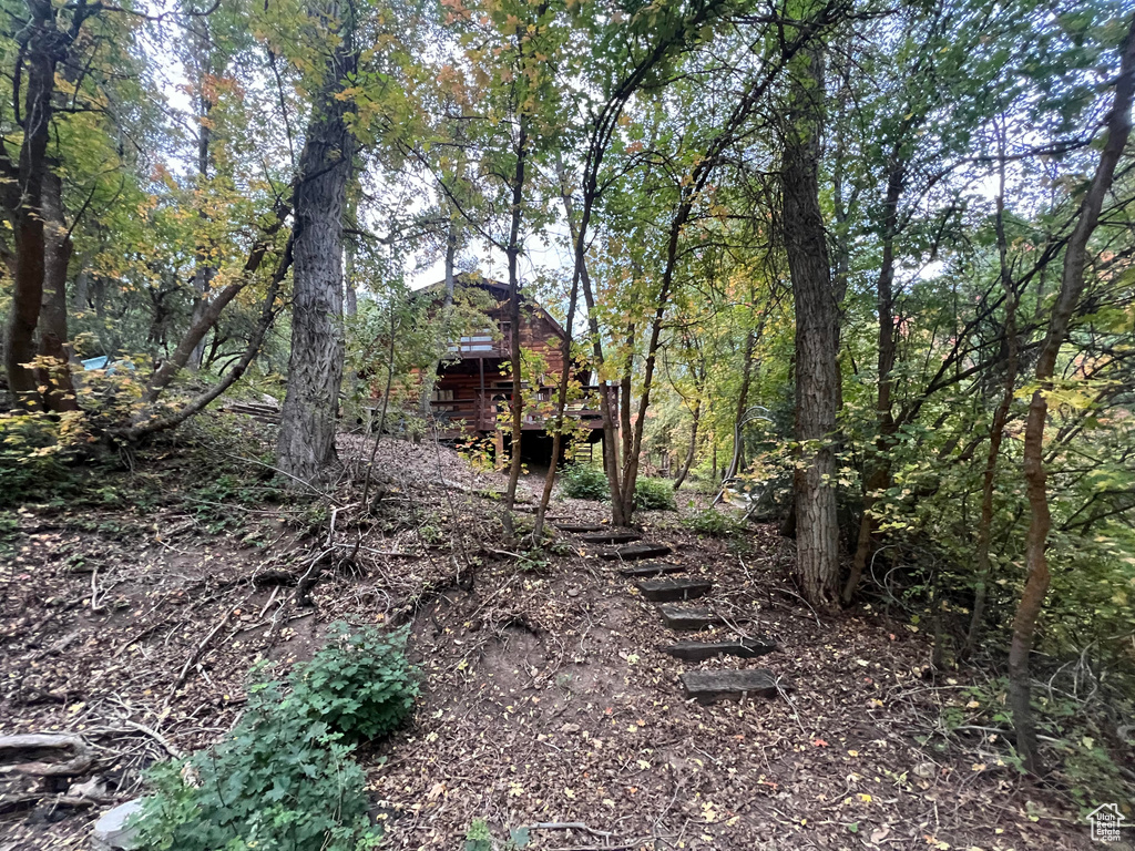 View of nature