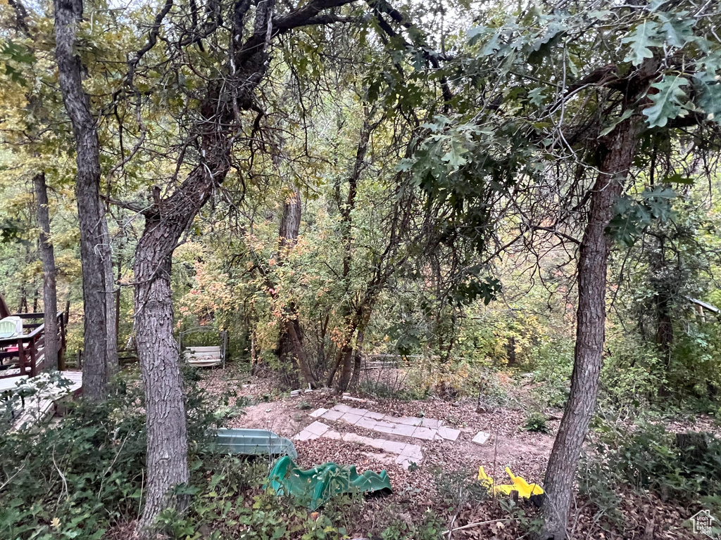 View of wooded area