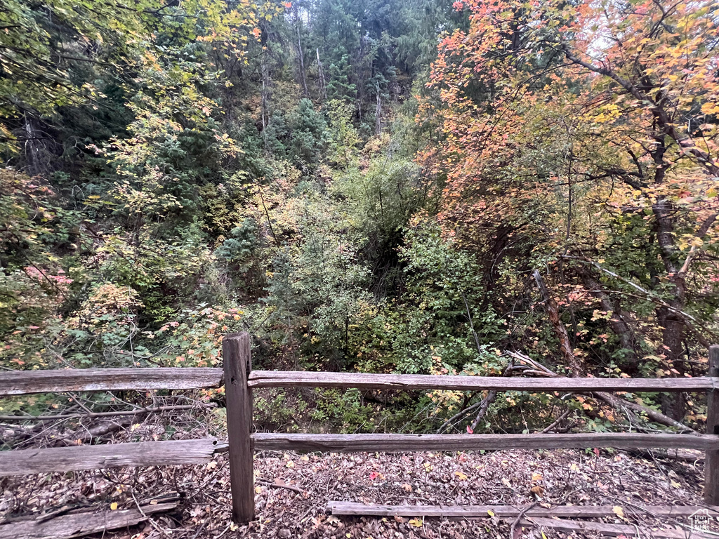 View of yard featuring a view of trees