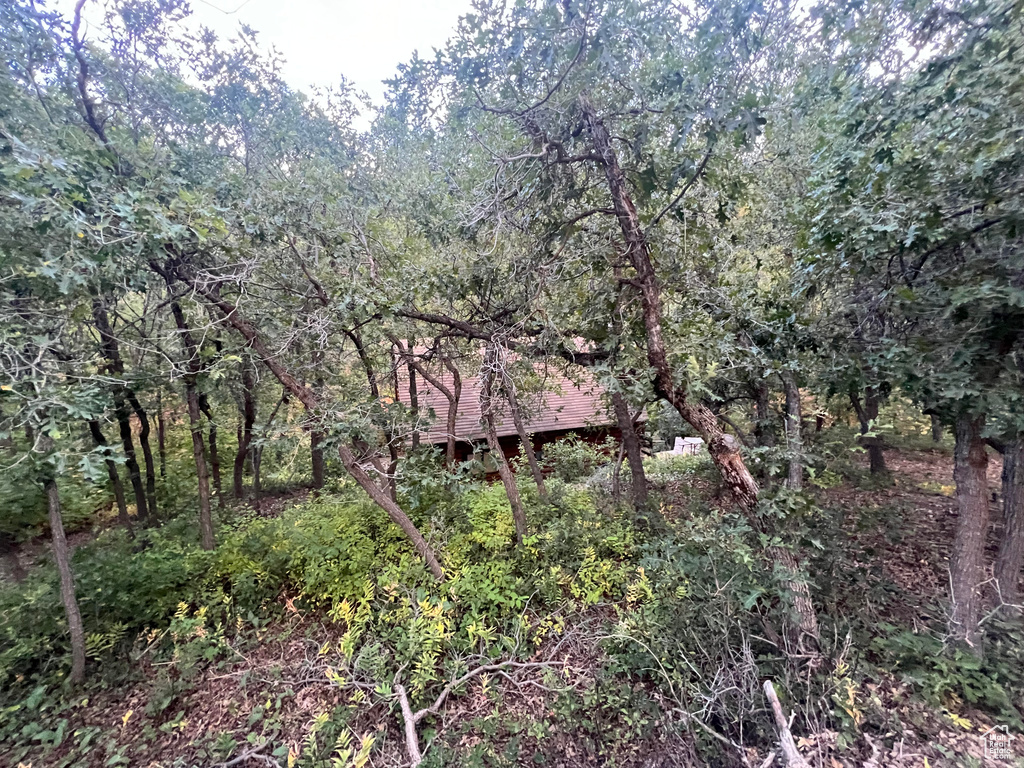 View of woods