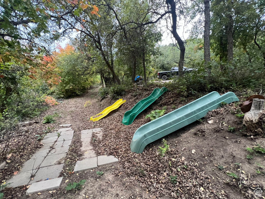 View of jungle gym
