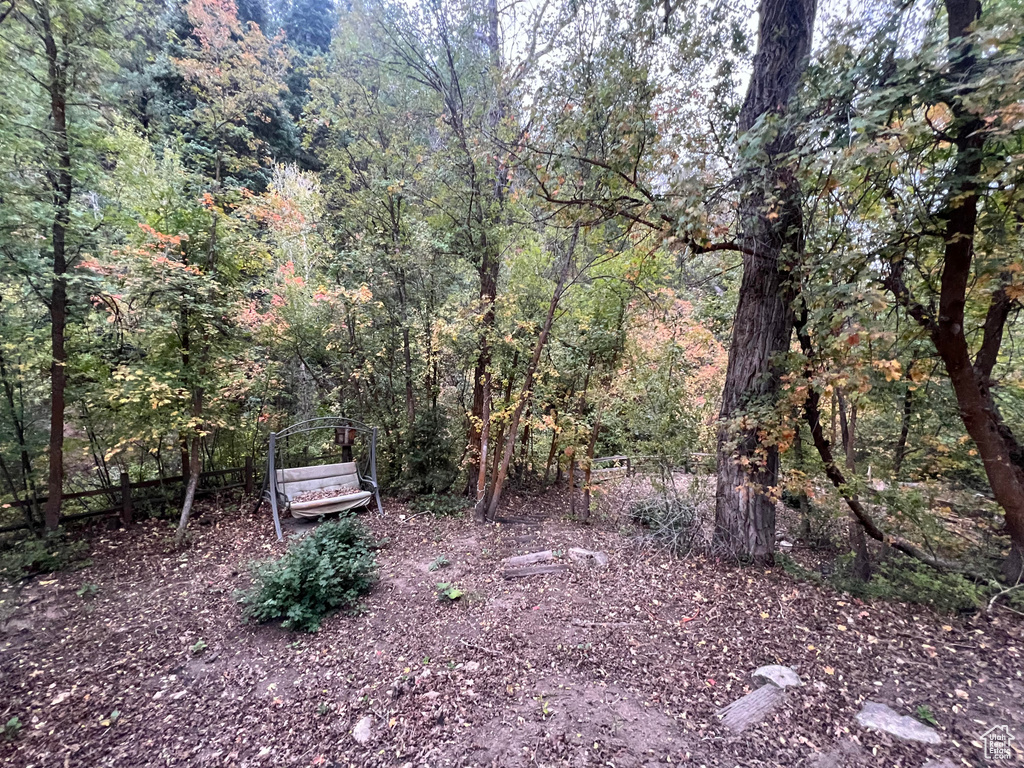 View of yard featuring a forest view