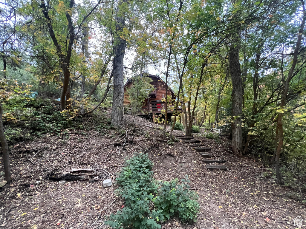 View of yard with a wooded view