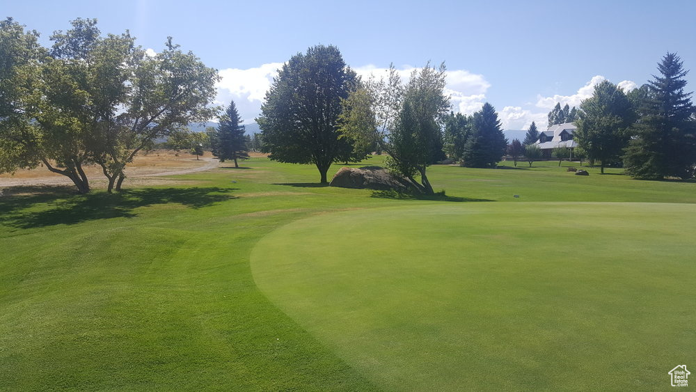 View of property's community with view of golf course and a yard