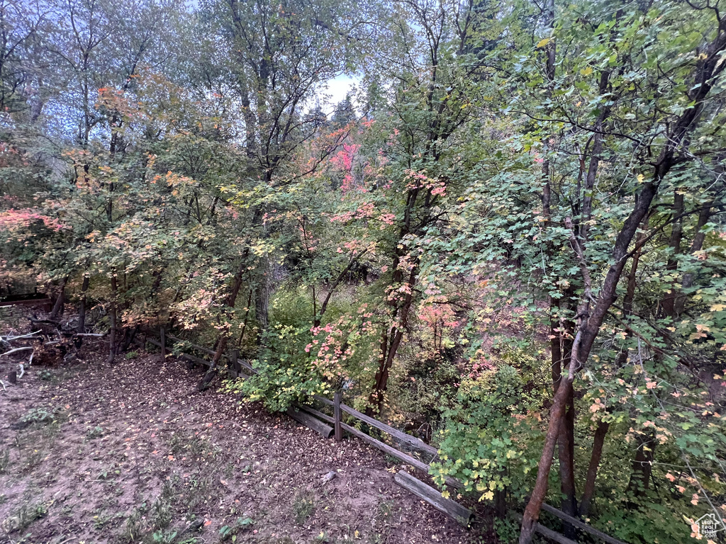 View of woods