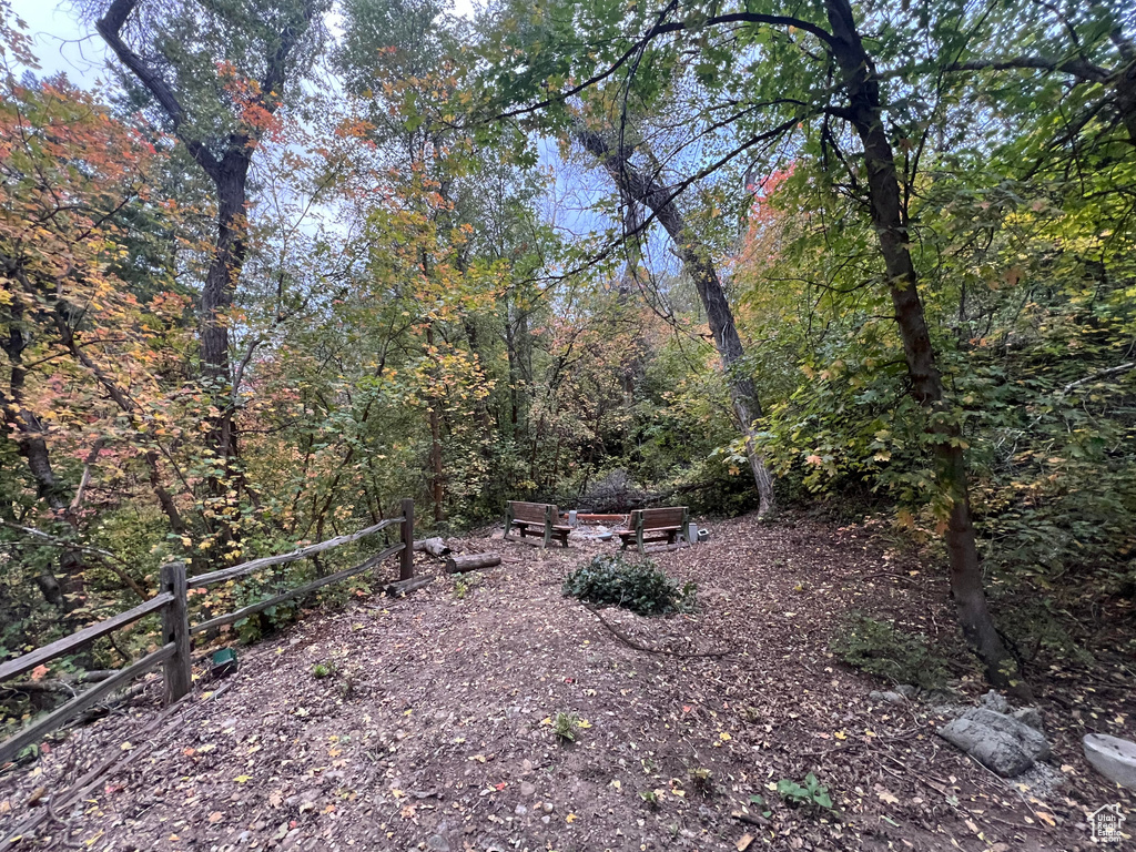 View of yard featuring a wooded view