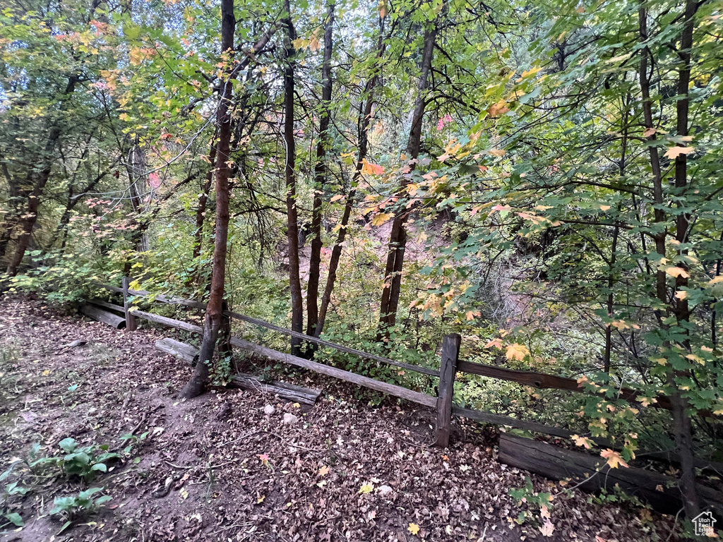 View of yard featuring a wooded view
