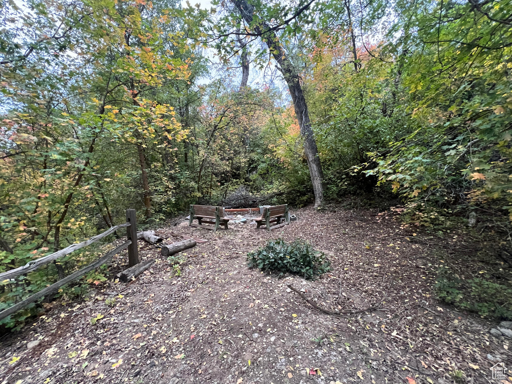View of yard featuring a wooded view