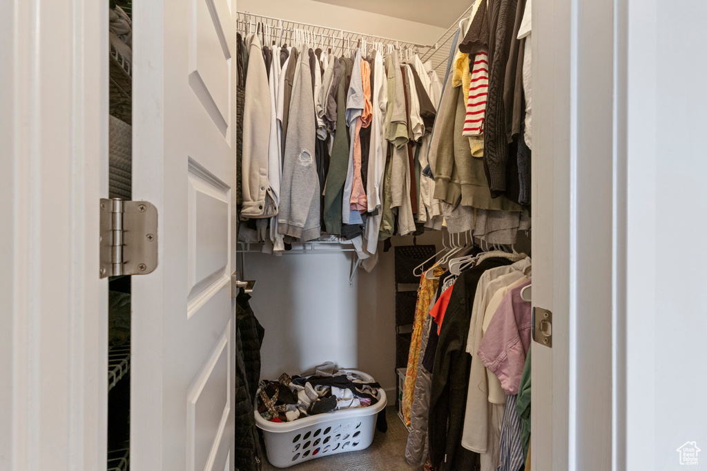 View of walk in closet