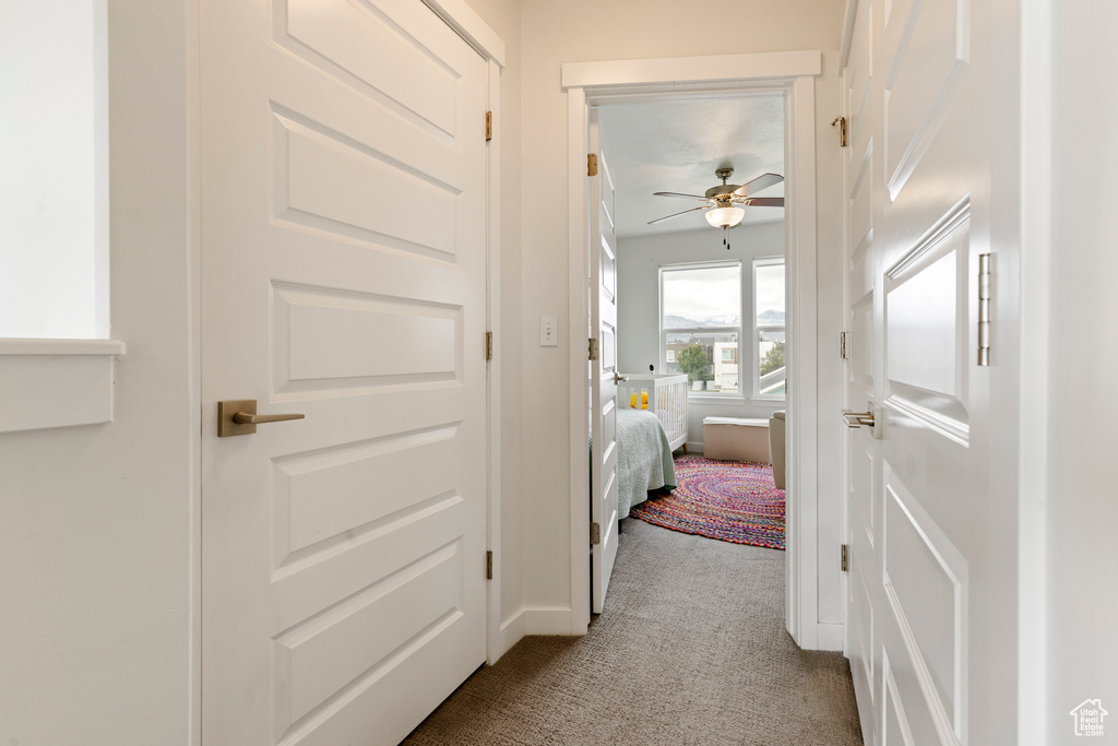 Hall featuring carpet flooring