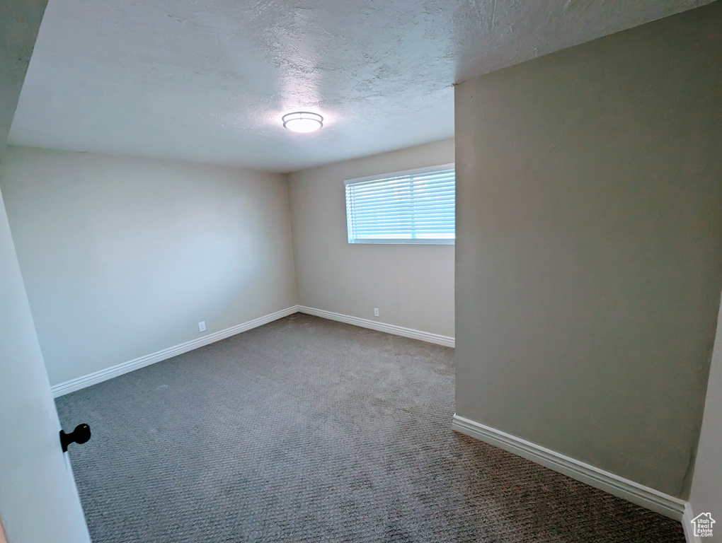 Empty room featuring carpet flooring, baseboards, and a textured ceiling