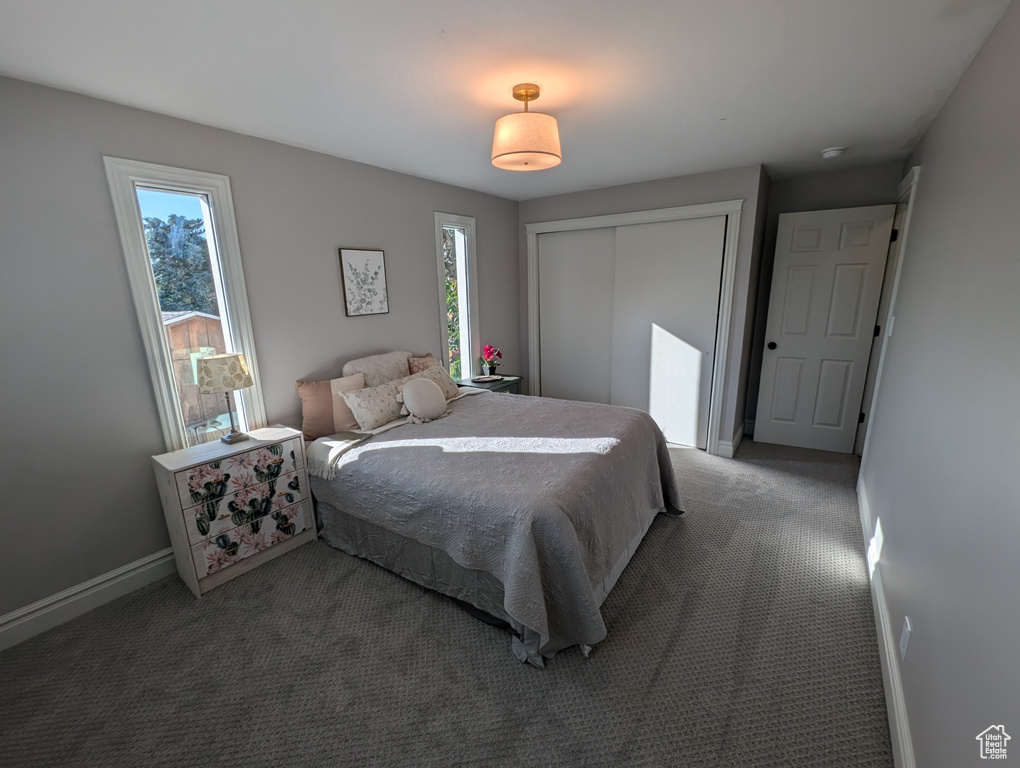 Bedroom featuring carpet flooring, baseboards, and a closet