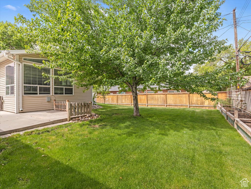 View of yard featuring a patio