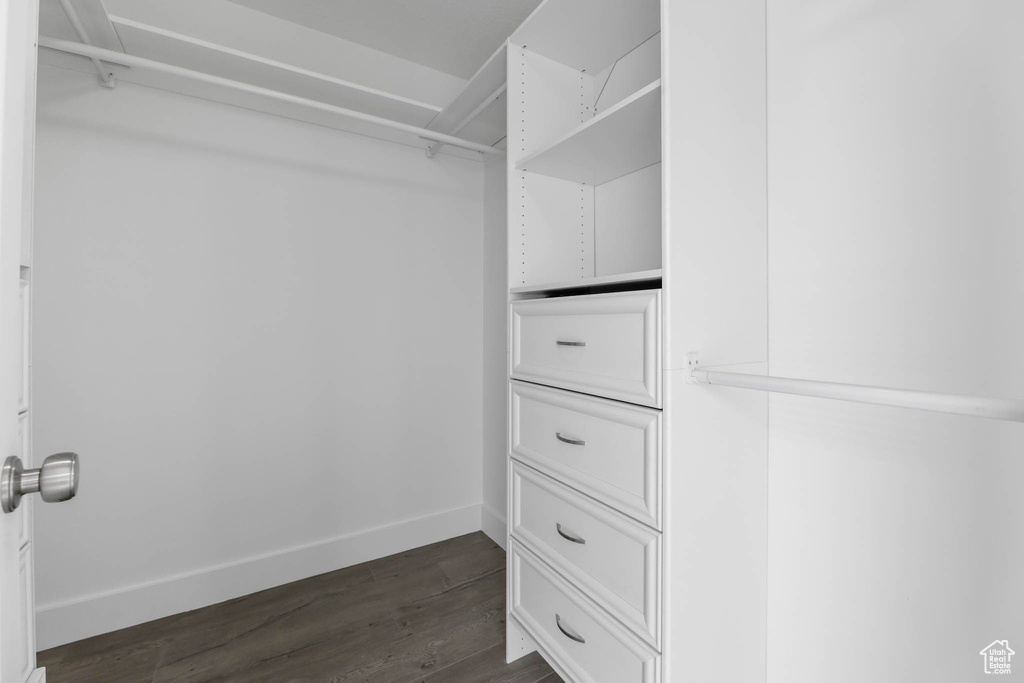 Walk in closet with dark wood finished floors